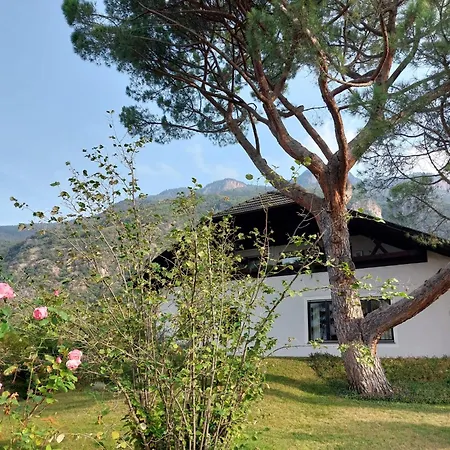 Villa Pinie Apt 2 Terlano Exterior photo