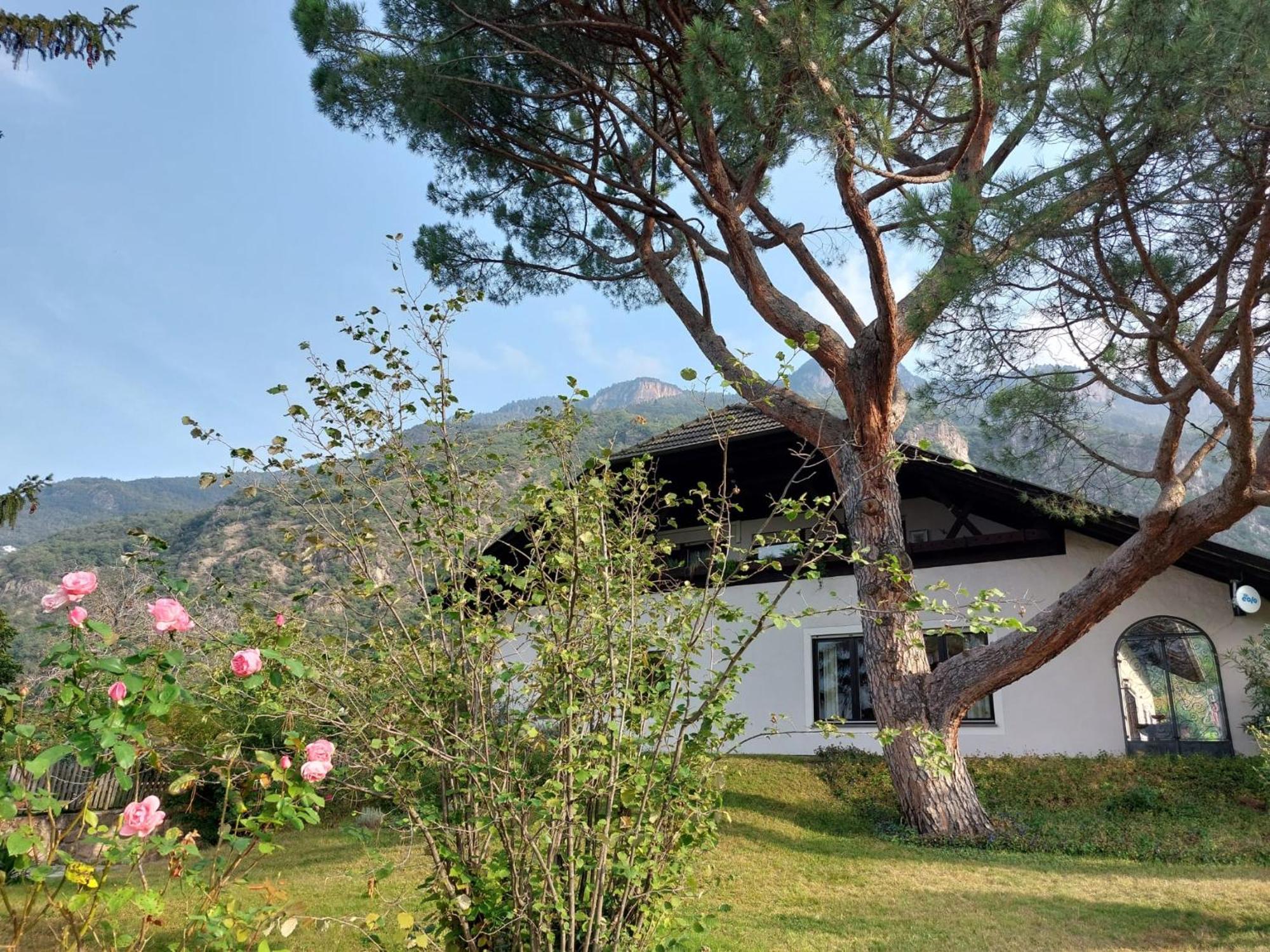 Apartment Pinie 2 Terlano
