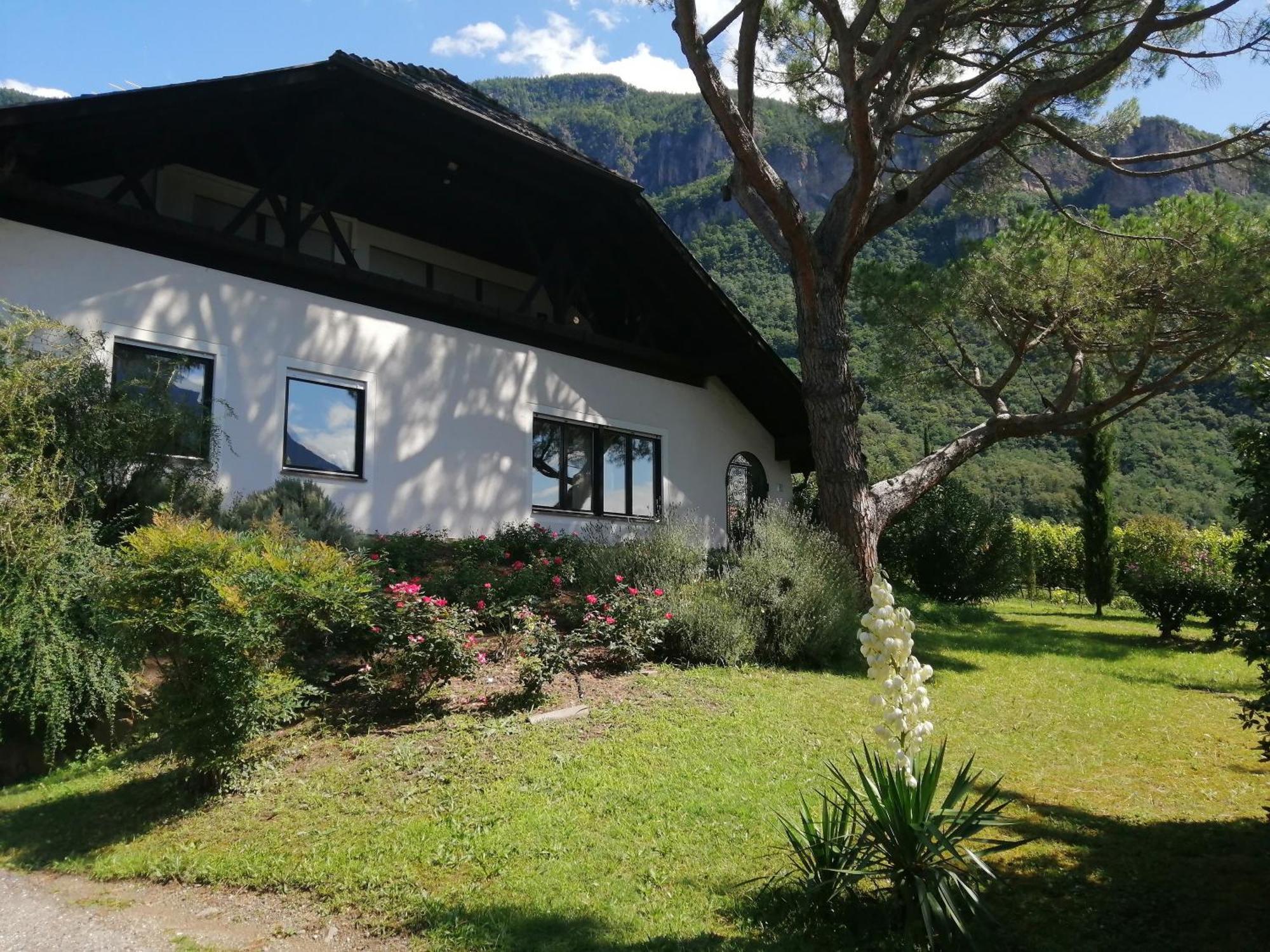 Apartment Pinie 2 *
